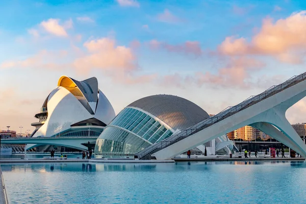 Valencia Spagna Gennaio 2019 Punto Riferimento Moderno Ciudad Las Artes — Foto Stock