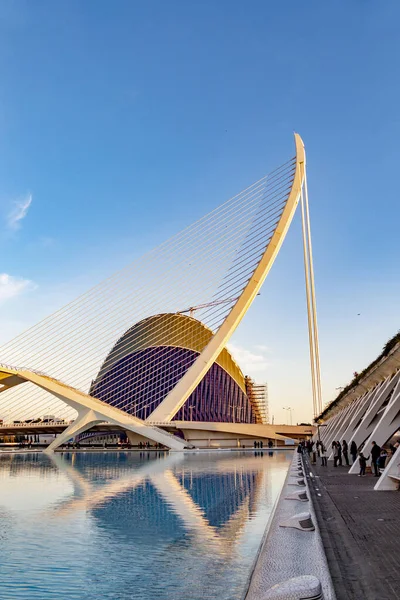 西班牙瓦伦西亚 2019年1月4日 现代地标城市Ciudad Las Artes Las Ciencias 该项目由Santiago Calatrava和Flix Candela设计 — 图库照片