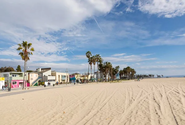 Venice Usa Mar 2019 Lidé Užívají Malebnou Plážovou Promenádu Palmami — Stock fotografie