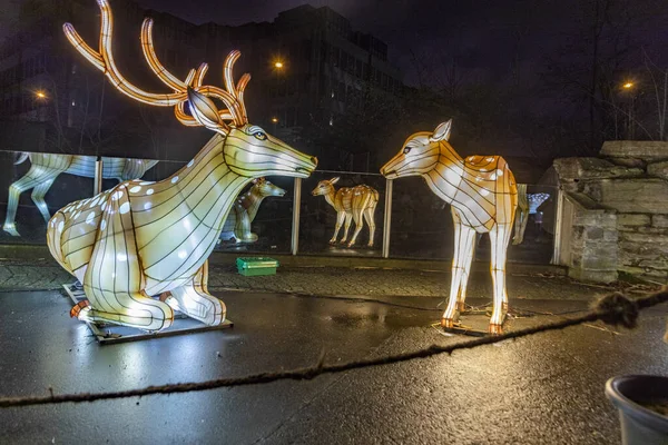 Kolín Nad Rýnem Německo Ledna 2020 China Light Festival Prosince — Stock fotografie