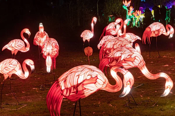 Keulen Duitsland Januari 2020 China Light Festival Van December 2019 — Stockfoto