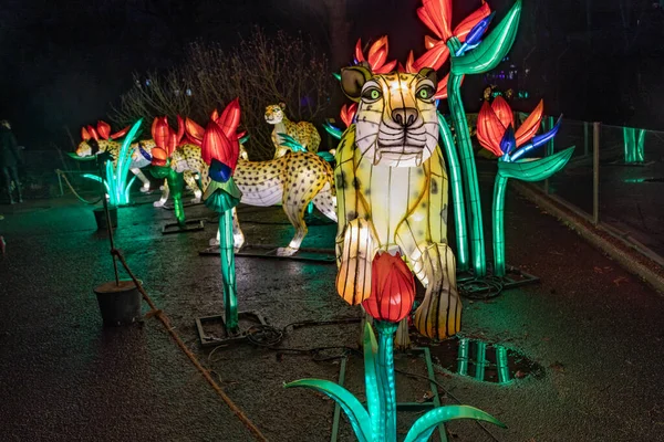 Kolín Nad Rýnem Německo Ledna 2020 China Light Festival Prosince — Stock fotografie