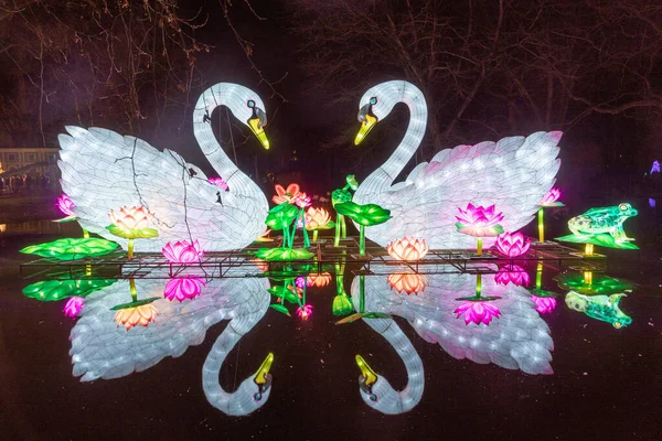 Köln Németország 2020 Január China Light Festival December 7Th 2019 — Stock Fotó