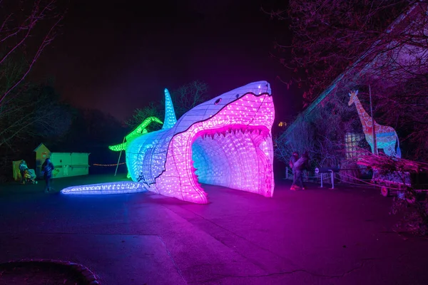 Kolín Nad Rýnem Německo Ledna 2020 China Light Festival Prosince — Stock fotografie