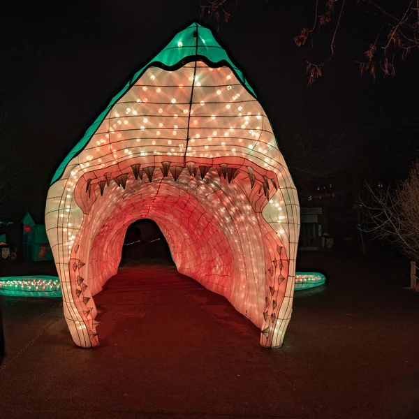 Cologne Allemagne Janvier 2020 Chine Light Festival Décembre 2019 Janvier — Photo