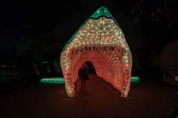Köln Deutschland Januar 2020 China Light Festival Vom Dezember 2019 — Stockfoto