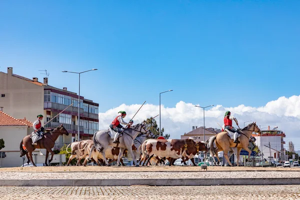 Samora Correia Portugal Mars 2020 Rondell Vid Samora Correia Med — Stockfoto