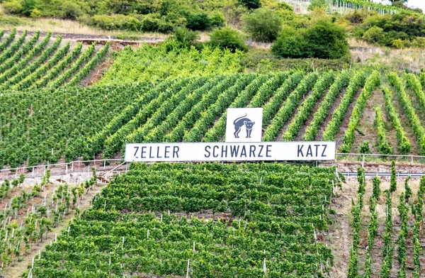 Zell Germany July 2020 Scenic View Vineyards Brand Zeller Schwarze — Stock Photo, Image