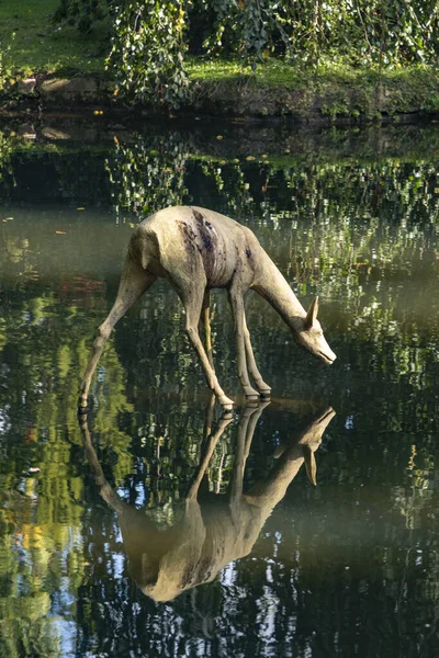 Wiesbaden Tyskland Oktober 2020 Naturskön Skulptur Fitens Hjort Nero Dalen — Stockfoto