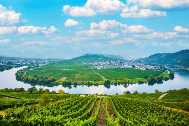 Almanya, Trittenheim 'daki ünlü Moselle nehir döngüsü