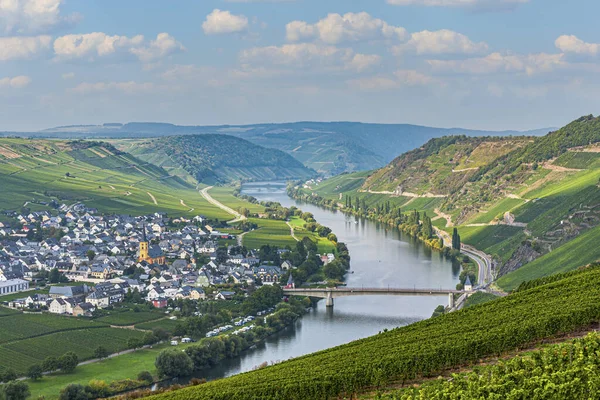 德国Trittenheim著名的Moselle Sinuosity — 图库照片