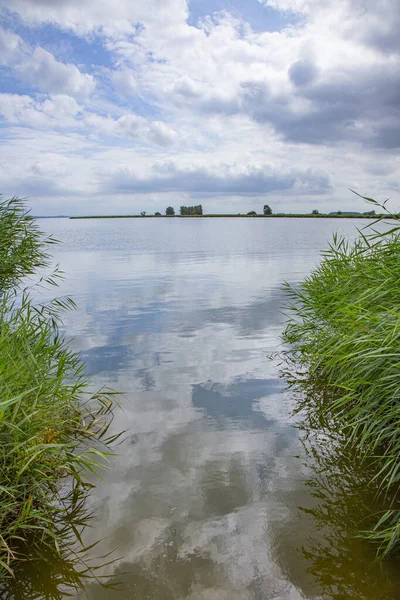 德国乌赛多姆一个叫Achterwasser的湖 有芦苇草 — 图库照片