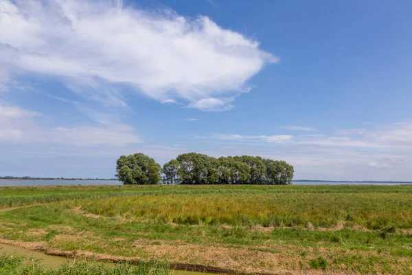 Paisaje Rural Usedom Cerca Lutow Con Típicos Arroyos Achterwsser Agricultura —  Fotos de Stock