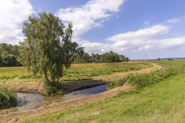 Venkovská Krajina Usedomu Lutowa Typickými Potoky Zemědělstvím — Stock fotografie