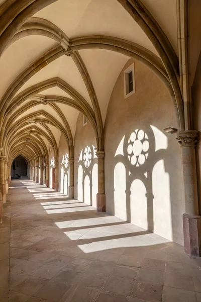 Pilar Escénico Isla Antiguo Monasterio Cúpula Tréveris Alemania —  Fotos de Stock