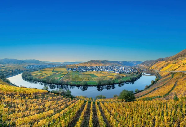 Aussichtsreiche Moselschleife Trittenheim — Stockfoto