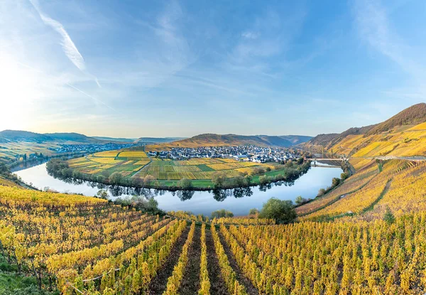 Natursköna Mosel Flod Loop Trittenheim Tyskland — Stockfoto