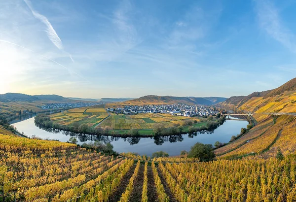 Bucle Panorámico Del Río Mosel Trittenheim Alemania — Foto de Stock