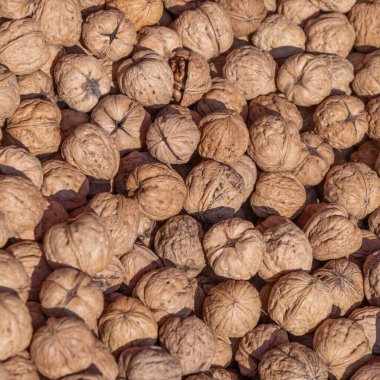 Markette sunulan olgun ceviz meyvesinin ayrıntıları.