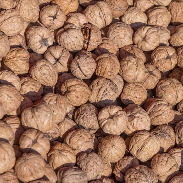 Markette sunulan olgun ceviz meyvesinin ayrıntıları.