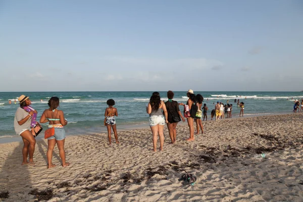 Miami Abd Ağustos 2014 Nsanlar Miami Beach Meşhur Güney Sahili — Stok fotoğraf