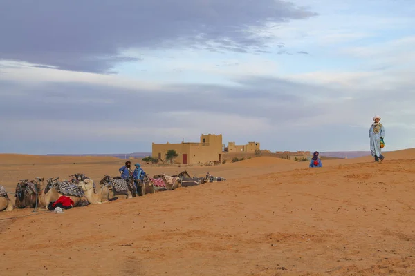 Takoumit Marocko November 2016 Beduiner Väntar Turister Att Erbjuda Kameltur — Stockfoto