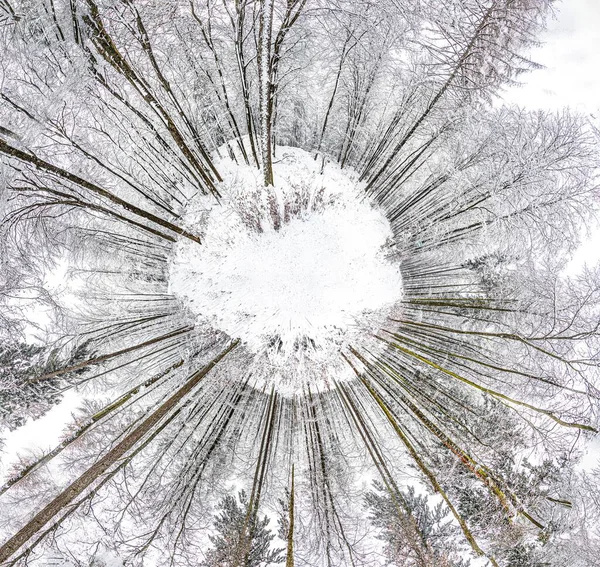 Paisagem Inverno Cênica Floresta Platte Wiesbaden Alemanha Vista Minúscula Planeta — Fotografia de Stock