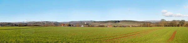 Landschaftliche Felder Winter Kiedrich Rheingau Deutschland — Stockfoto