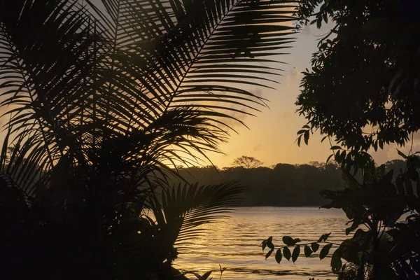 Romantico Tramonto Sulla Spiaggia Tortugenero Costa Rica Visto Barca — Foto Stock