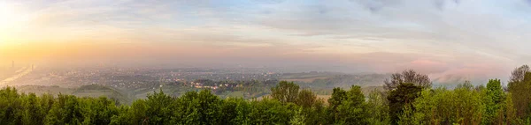 Morgenpanorama Mit Grinzing Und Skyline Von Wien Österreich — Stockfoto