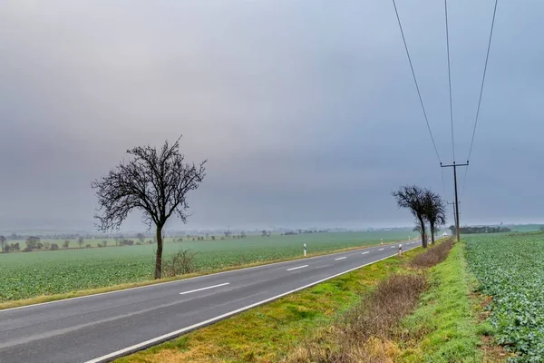 Autopista Paisaje Forestal Invierno Turingia Con Árboles Sin Hojas —  Fotos de Stock