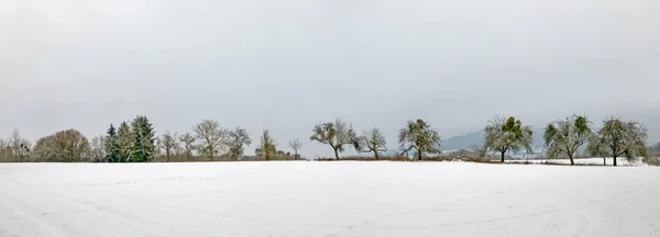 Zimowy Krajobraz Obszarze Taunus Niemczech — Zdjęcie stockowe