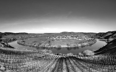 Manzaralı Moselle nehir döngüsü. Almanya, Leiwen 'den Trittenheim köyü görüldü.