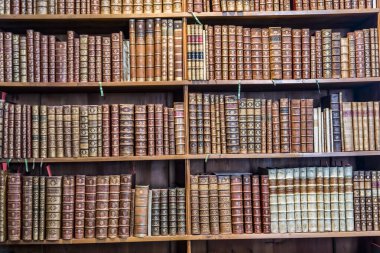 VIENNA, AUSTRIA - 24 Nisan 2015: Avusturya 'nın güzel Avusturya Ulusal Kütüphanesi' nde kitaplar. 18. yüzyılda, Avusturya 'nın en büyük kütüphanesi 7.4 milyonluk eşyalar içeriyordu..