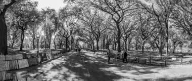 New York, ABD - 20 Ekim 2015: New York 'taki Central Park' ta yürüyüş yapmaktan keyif alan insanlar. 1.75 milyar yıllık biniciliğiyle, NYC Subway dünyanın en işlek 7. metro sistemidir..