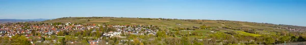 Skyline Ingelheim Med Berömda Kyrka Och Slott Tyskland — Stockfoto