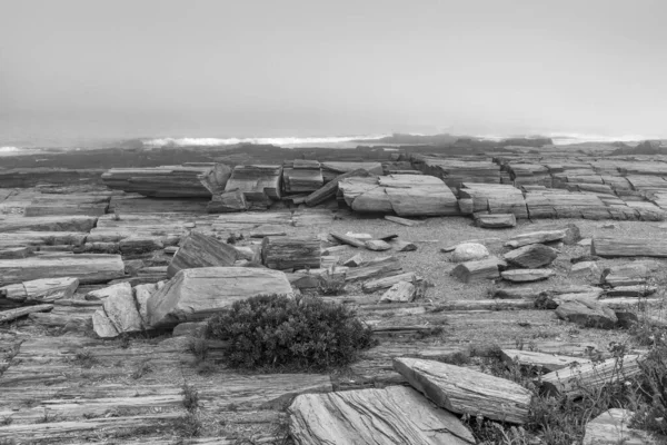 Aussichtsreiche Küste Kap Elisabeth Nebel Mit Spektakulären Steinformationen — Stockfoto