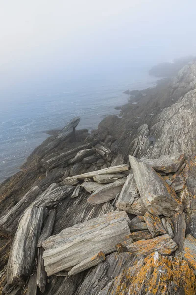 Живописное Побережье Мысе Элизабет Тумане Впечатляющими Каменными Образованиями — стоковое фото