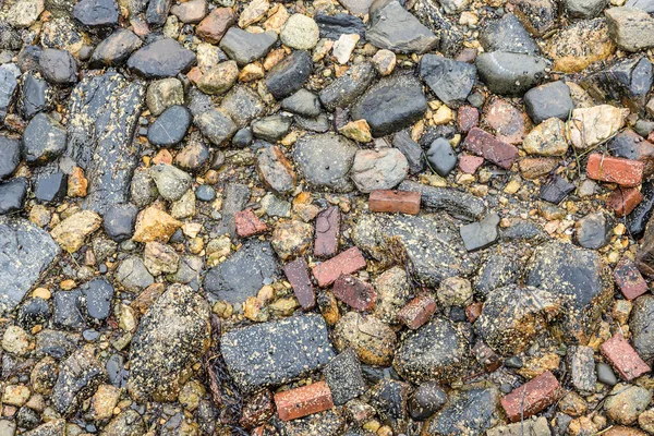 Detail Wet Stones Beach Remaining Small Living Algae Spots Symbol — Stock Photo, Image