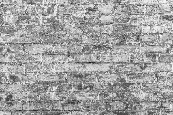 Stará Cihlová Zeď Malovaná Bílou Ale Barva Loupe — Stock fotografie