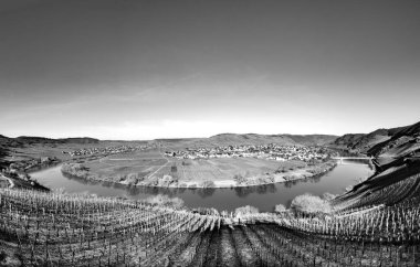 Manzaralı Moselle nehir döngüsü. Almanya, Leiwen 'den Trittenheim köyü görüldü.