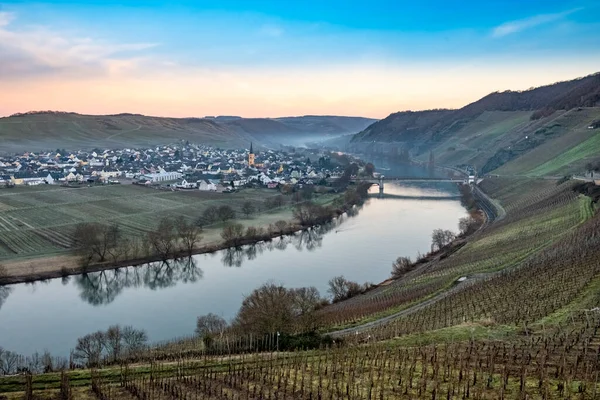 Malownicza Pętla Rzeczna Moselle Wioską Trittenheim Widziana Leiwen Niemcy — Zdjęcie stockowe