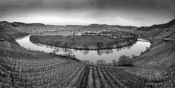 Γραφική Βρόχο Moselle Ποταμού Χωριό Trittenheim Δει Από Leiwen Γερμανία — Φωτογραφία Αρχείου