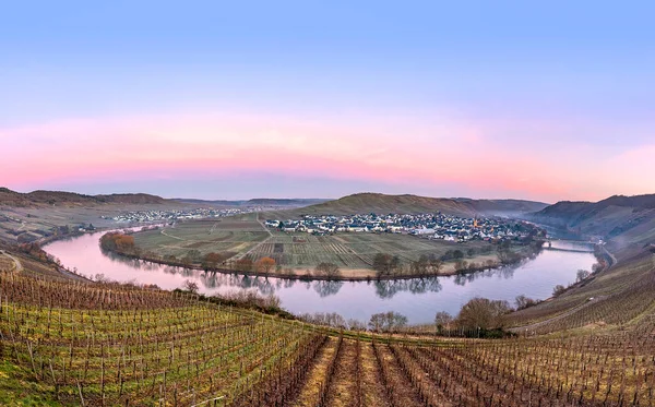 Natursköna Mosel Flod Loop Med Byn Trittenheim Sett Utifrån Leiwen — Stockfoto