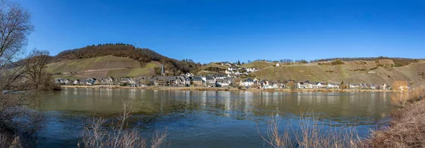 Moseltalpanorama Bei Rachtig Mit Blick Auf Uerzig Hellen Morgenlicht — Stockfoto