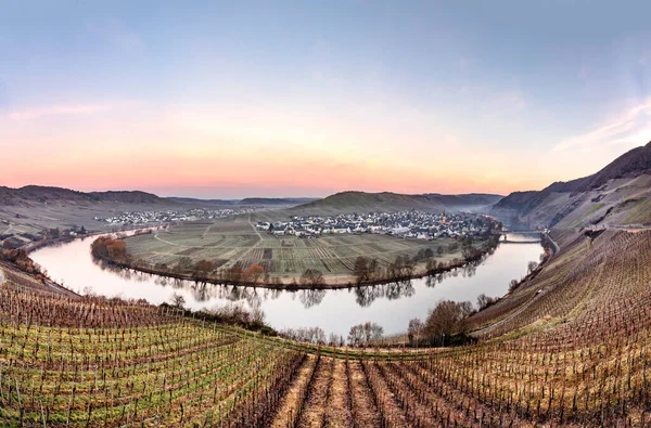 Scenic Moselle River Loop Village Trittenheim Seen Leiwen Germany — Stock Photo, Image