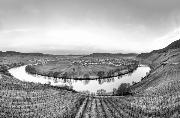 Scenic Moselle River Loop Village Trittenheim Desde Leiwen Alemanha — Fotografia de Stock