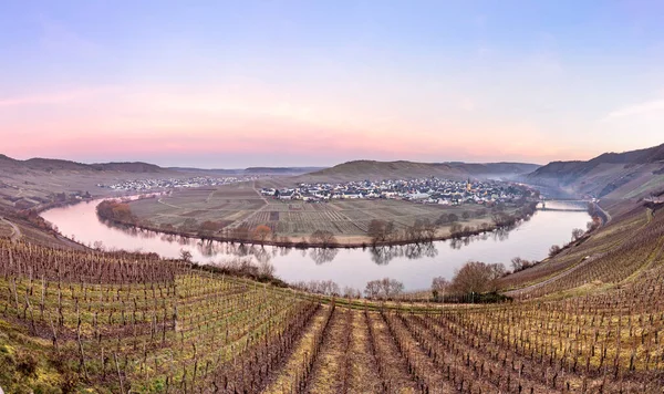 Naturskønne Moselle Flod Loop Med Landsby Trittenheim Set Fra Leiwen - Stock-foto