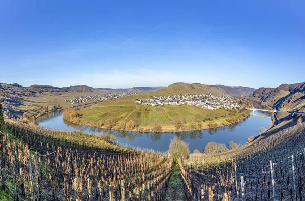 Scenic Moselle River Loop Village Trittenheim Seen Leiwen Germany — Stock Photo, Image