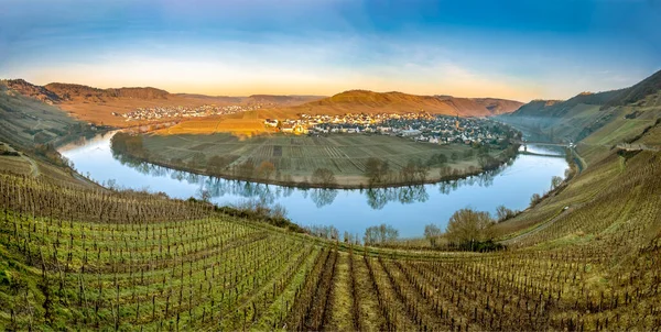 Aussichtsreiche Moselschleife Mit Dorf Trittenheim Von Leiwen Aus Gesehen — Stockfoto